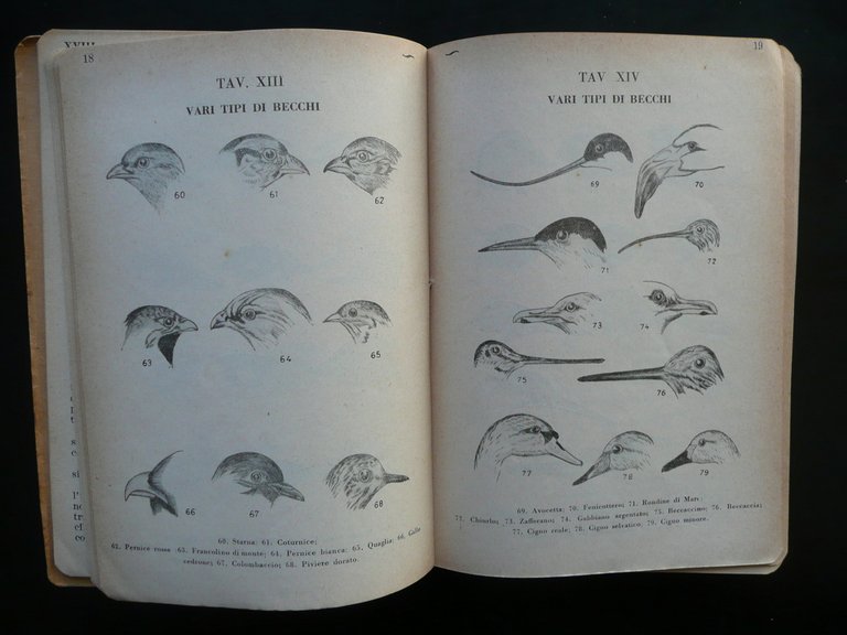 Dizionario degli Uccelli Italiani Carlo Gilardino Hoepli Milano 1949 3∞Edizione