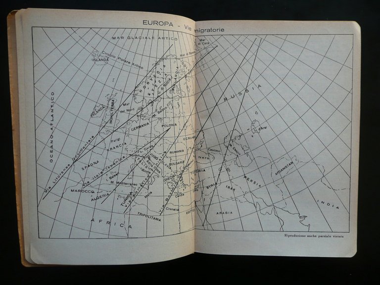 Dizionario degli Uccelli Italiani Carlo Gilardino Hoepli Milano 1949 3∞Edizione