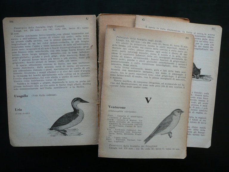 Dizionario degli Uccelli Italiani Carlo Gilardino Hoepli Milano 1949 3∞Edizione