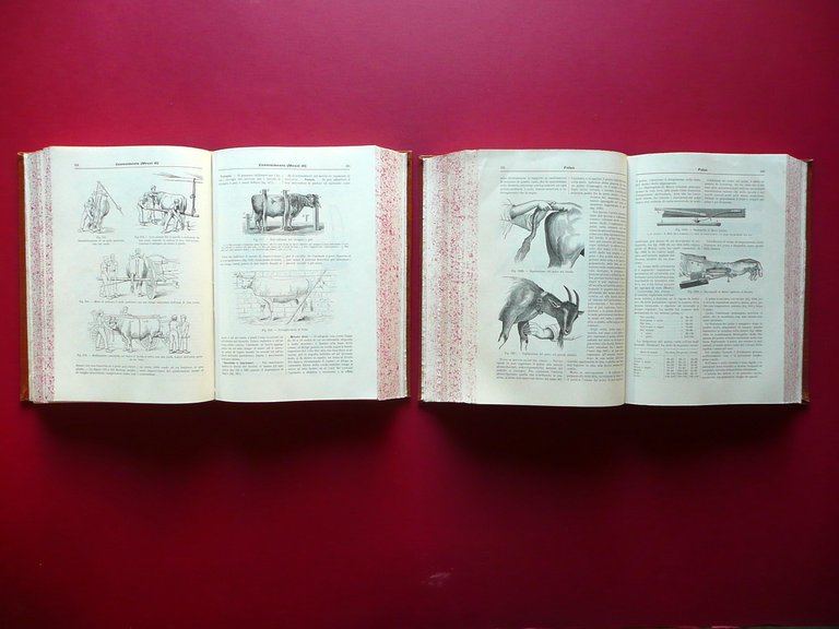 Dizionario Veterinario Cagny Gobert Torino 1905-1910 2 Volumi Completo