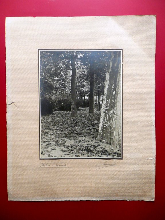 Due Fotografie Originali Mostra Fotografica GUF Modena PNF C.A.I. 1940 …
