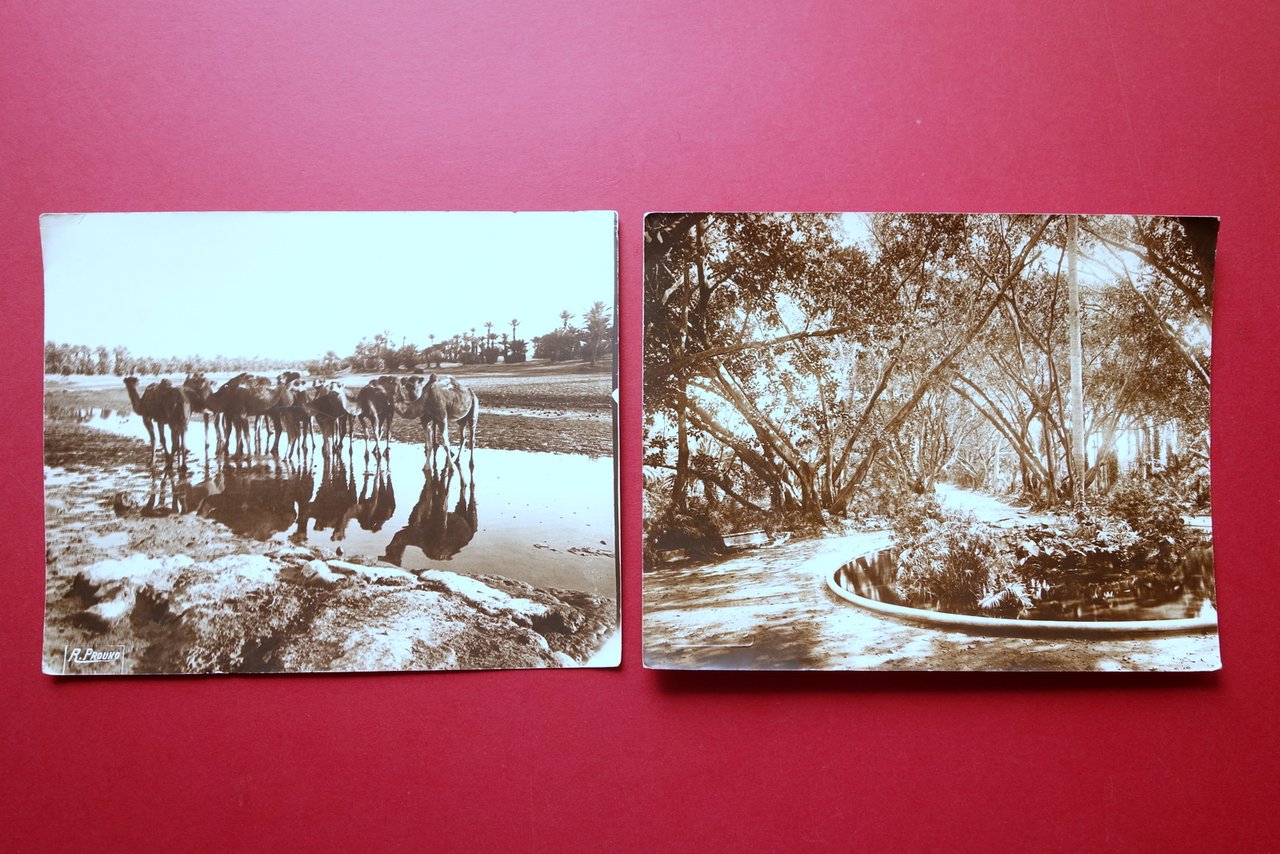 Due Grandi Fotografie Africa Vedute Foto R. Prouho Grenoble 1925 …