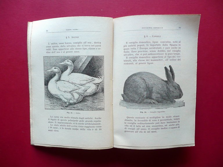 Elementi di Zootecnia ed Igiene Guido Provenza Battiato Catania 1906 …