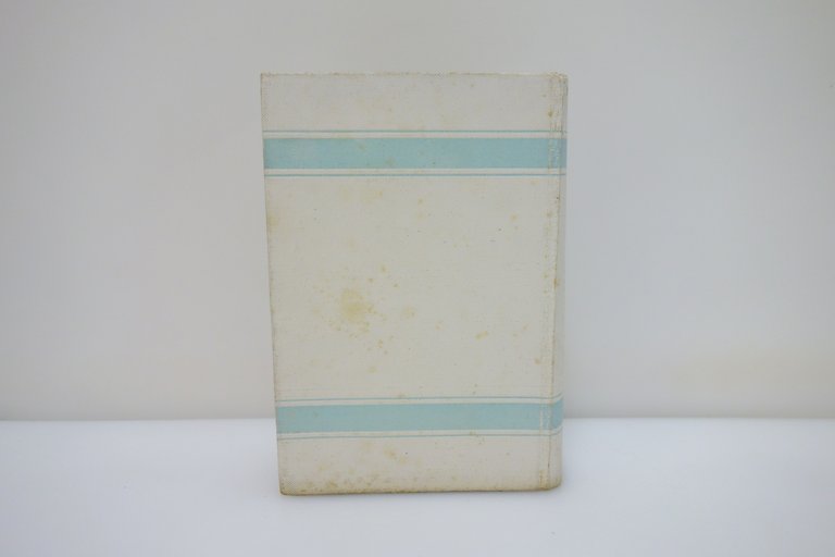 Elioterapia Artificiale G. Matteucci Hoepli Milano 1831 1° Edizione | Immagine Gallery 2