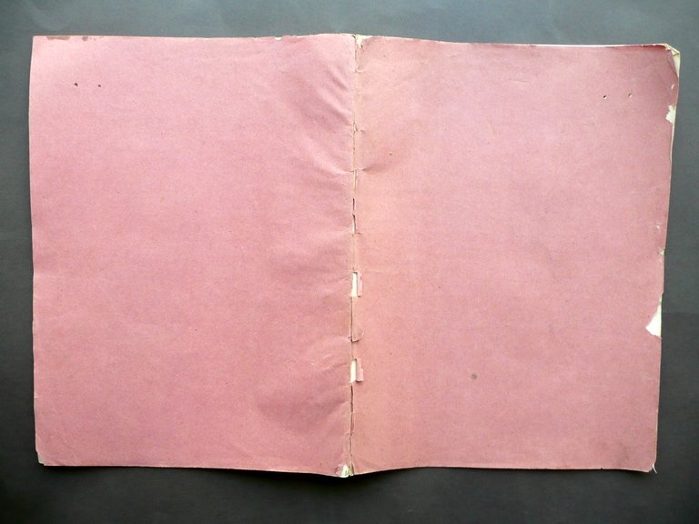 Elogio di Antonio Araldi Pietro Riccardi Soliani Modena 1867 Matematica | Immagine Gallery 2