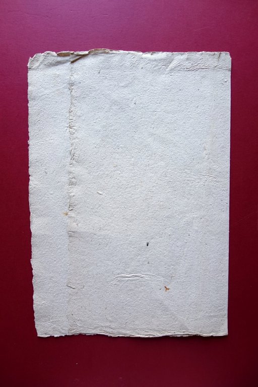 Erbario Antico Pagina Piante Amarantus Flavius Agnocasto Met‡ '800