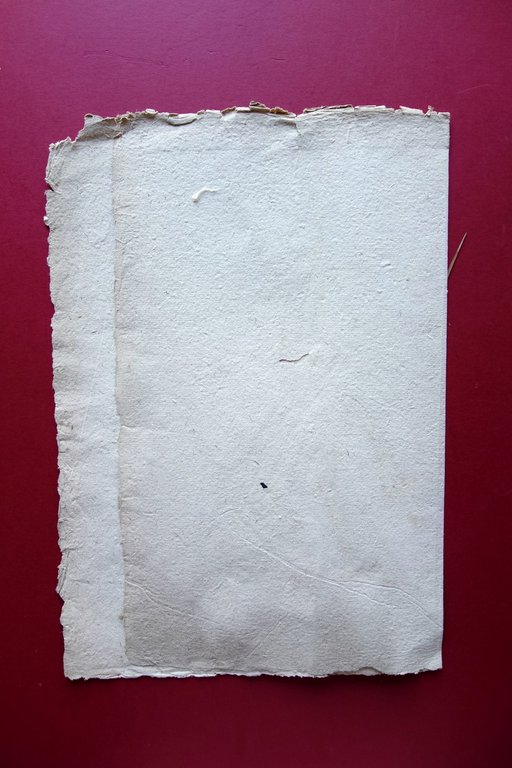 Erbario Antico Pagina Piante Palma da Datteri Cleone Pentaphylla Met‡ … | Immagine Gallery 2