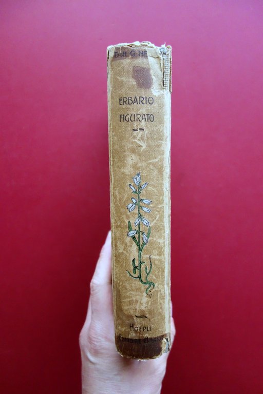 Erbario Figurato con riguardo alle Piante Medicinali Hoepli Milano 1923 …