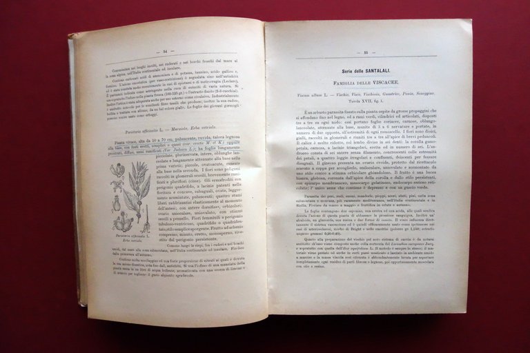 Erbario Figurato con riguardo alle Piante Medicinali Hoepli Milano 1923 …