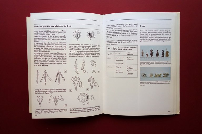 Erbe Spontanee e Infestanti Tecniche di Riconoscimento Dicotiledoni Bayer 1990