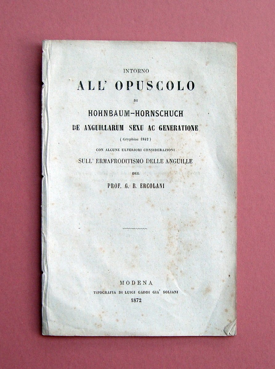 Ercolani Ermafroditismo delle anguille De Anguillarum sexu ac Generatione 1872