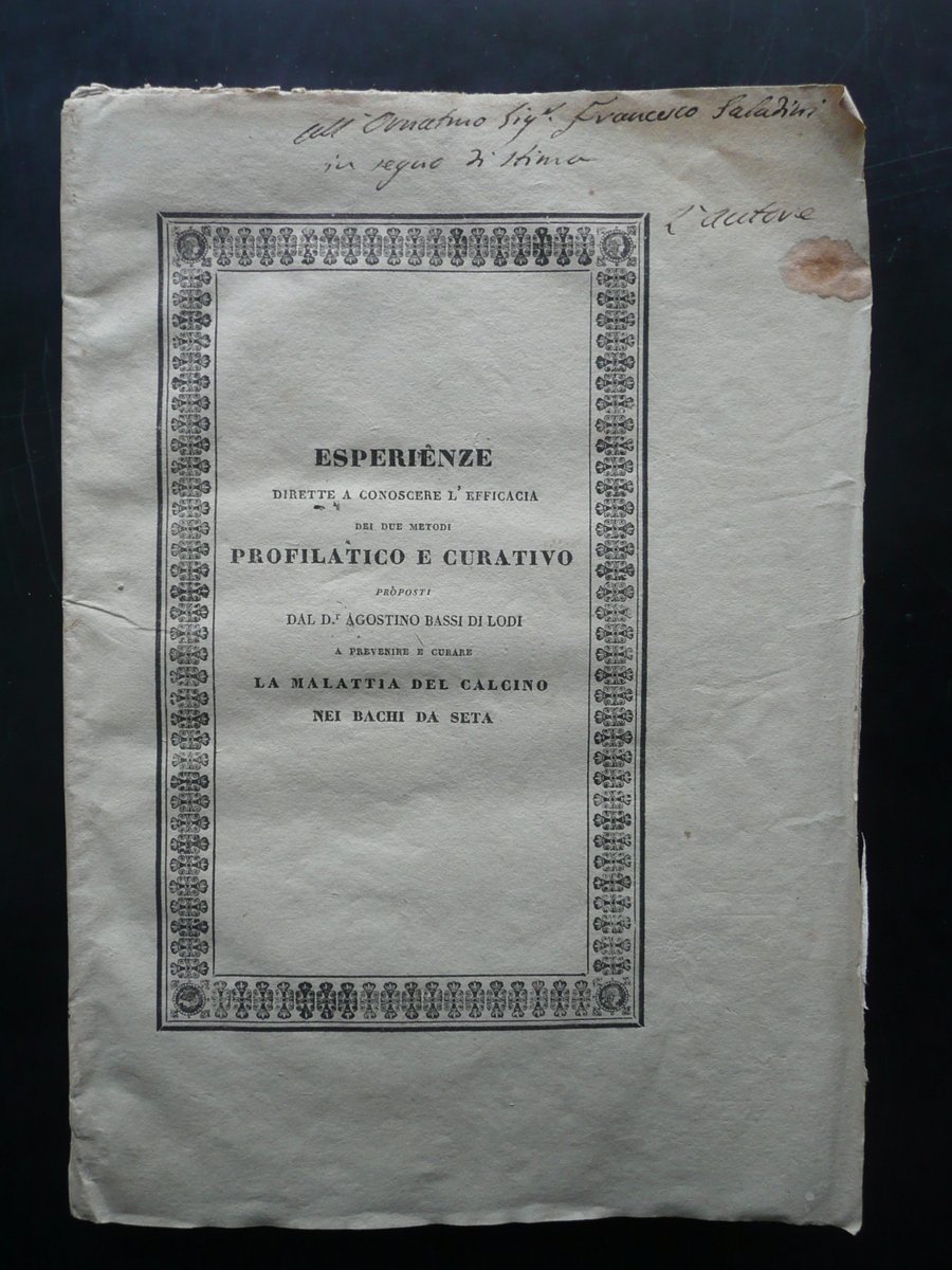 Esperienze Due Metodi Cura Malattia del Calcino Bachi da Seta …