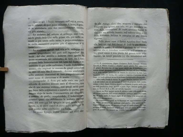 Esperienze Due Metodi Cura Malattia del Calcino Bachi da Seta …