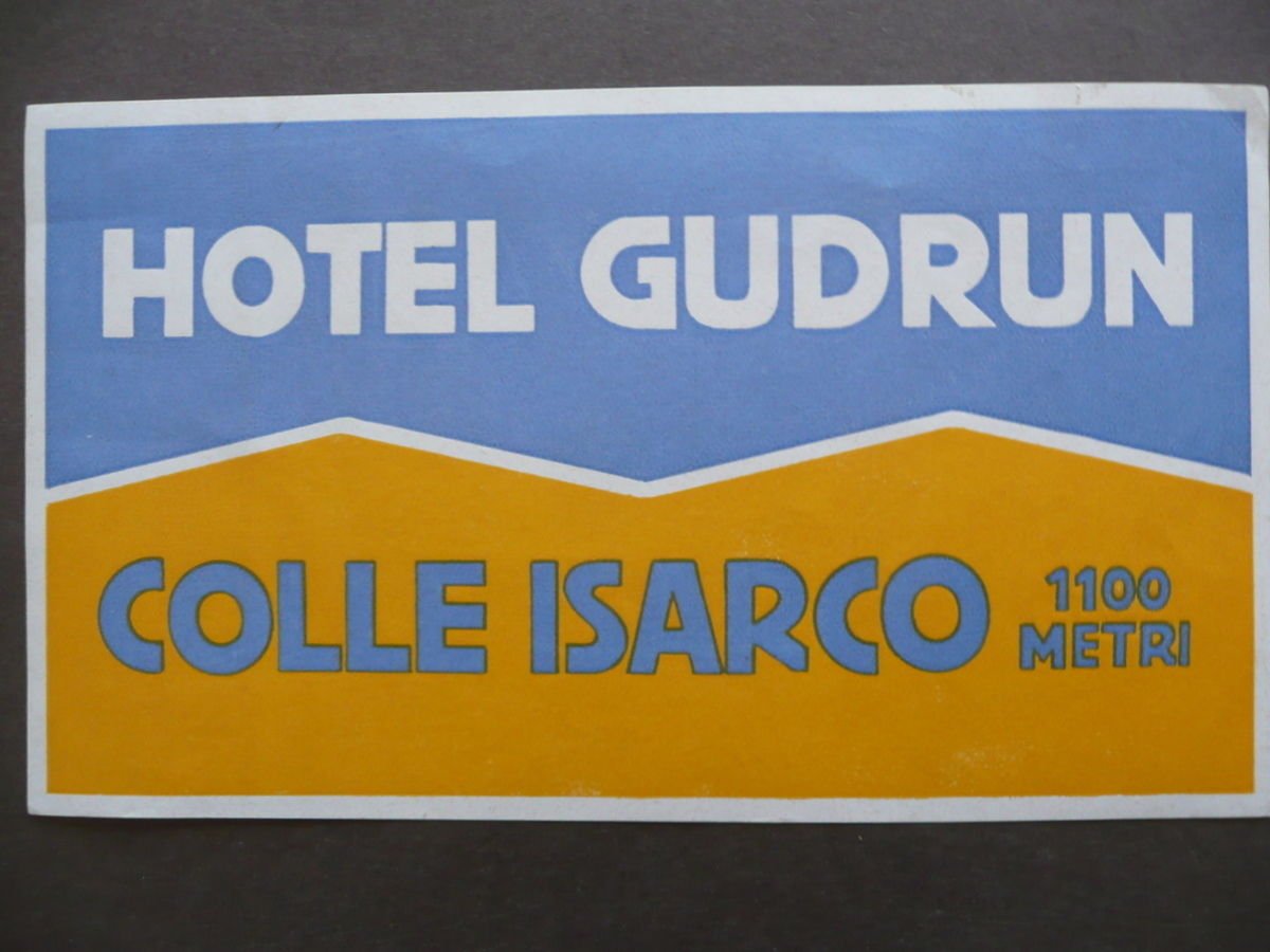 Etichetta Valigia Travel Label Suitcase Hotel Gudrun Colle Isarco Anni … | Immagine principale