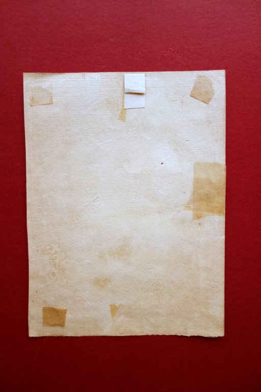Ex Libris E. Massicott Globe Trotter Bibliomane datato 30/4/1845 Grafica