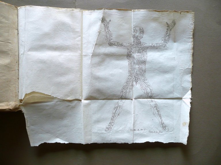 Expositio Anatomica Structurae Corporis Humani Winslow Venezia 1758 2 Volumi