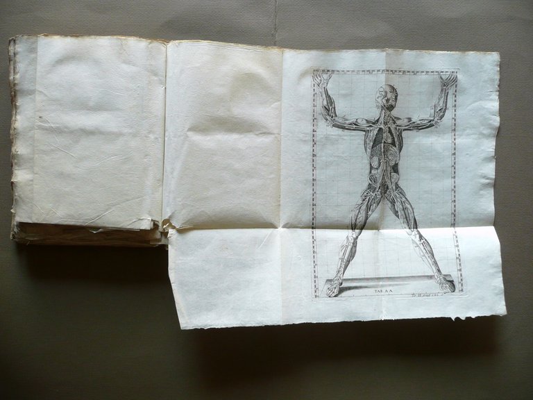 Expositio Anatomica Structurae Corporis Humani Winslow Venezia 1758 2 Volumi