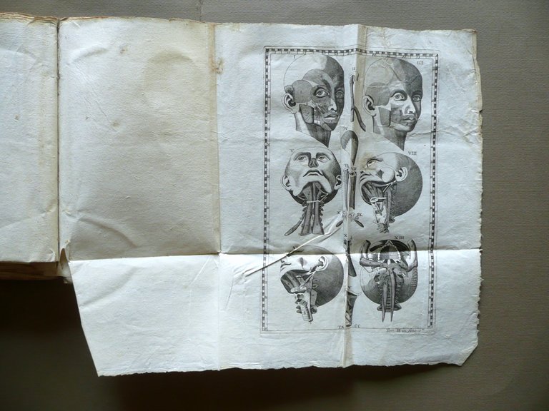 Expositio Anatomica Structurae Corporis Humani Winslow Venezia 1758 2 Volumi