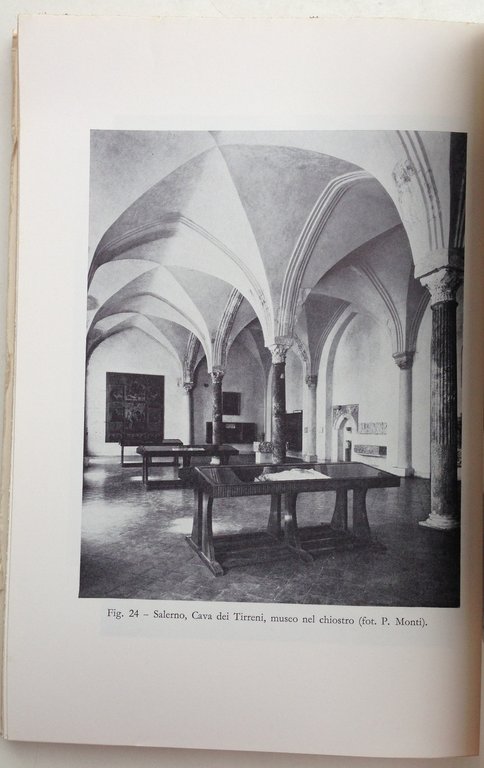 F. Bonilauri Museo e Citt‡ Collezioni Spallanzani Chierici Reggio Emilia …