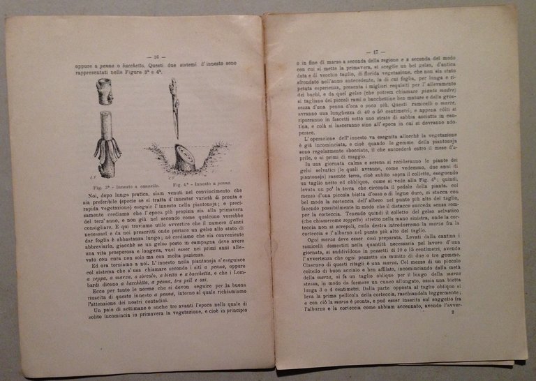 F. Clerici Manuale di Gelsicoltura Tip. Riformatorio Patronato Milano 1900