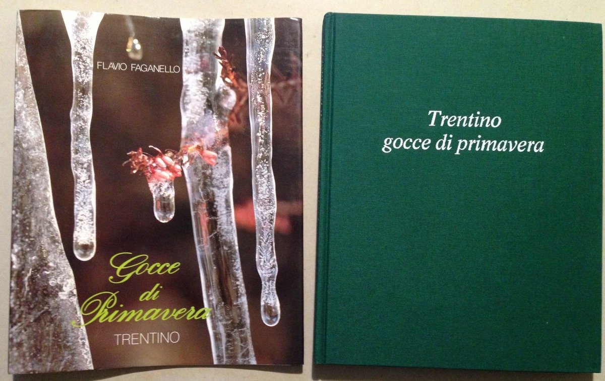 F. Faganello Trentino Gocce di Primavera Dario Scarpa Editoria Trento …