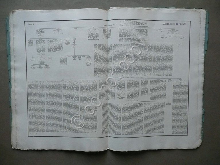 Famiglie Celebri Italiane Litta Fascicolo 104 Famiglia Aldobrandini Firenze 1838