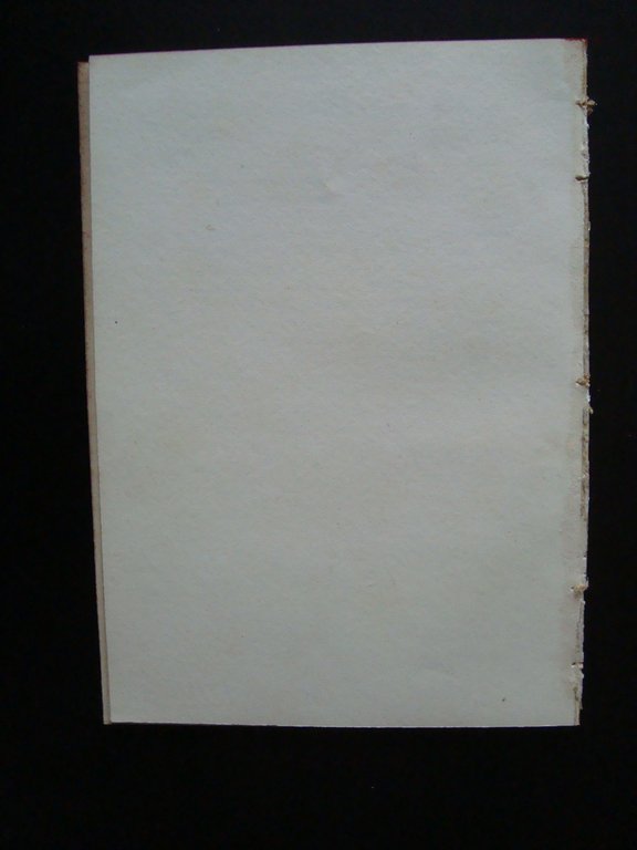 Federico Garlanda Lunghezza di posizione Latino Greco Sanscrito 1906 Roma