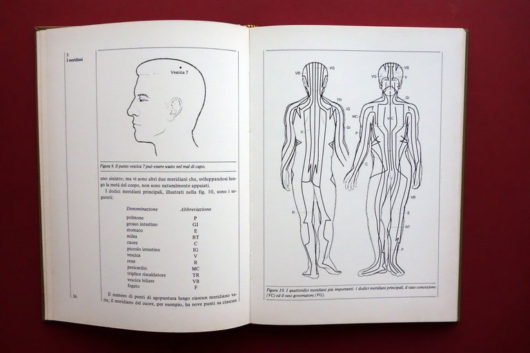 Felix Mann Agopuntura Cura di Molte Malattie Monduzzi Bologna 1980