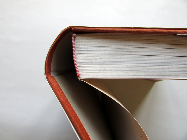 Ferdinando Erisi Altre Cose Piacentine d'Arte e di Storia Tip. … | Immagine Gallery 3