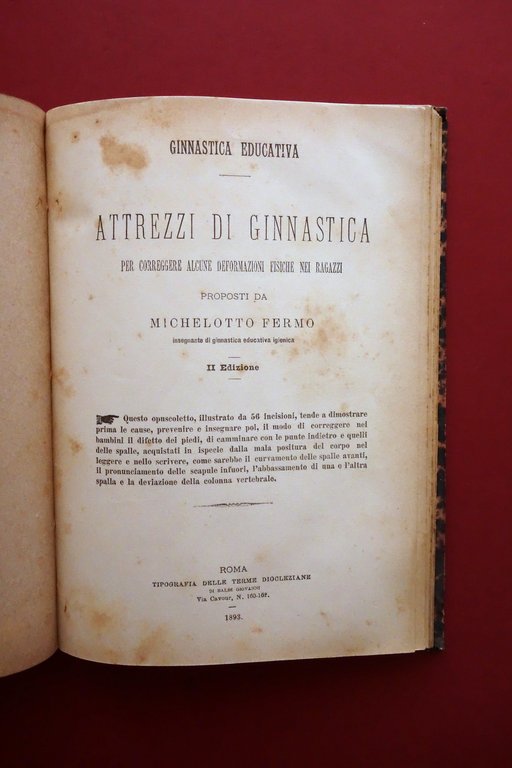 Fermo Michelotto Pesi Scorrevoli Attrezzi di Ginnastica Roma 1886-1893 2 …