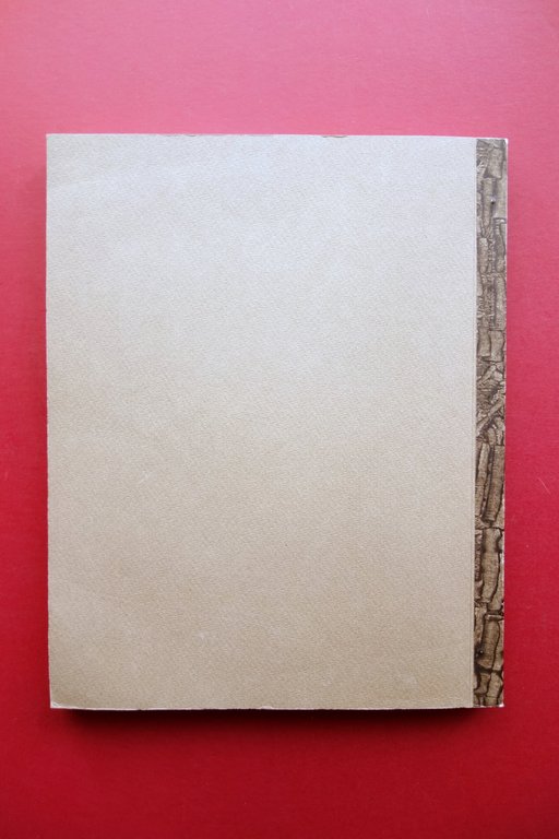 Ferruccio Richeldi San Cesario sul Panaro Dattiloscritto Bozza Pre Stampa …