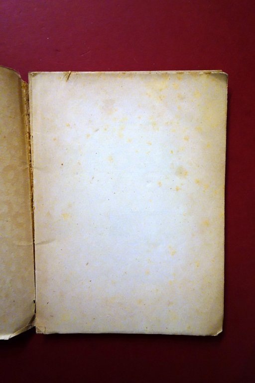 Filippo de Pisis Prose Taddei Ferrara 1920 1° Edizione Molto … | Immagine Gallery 4