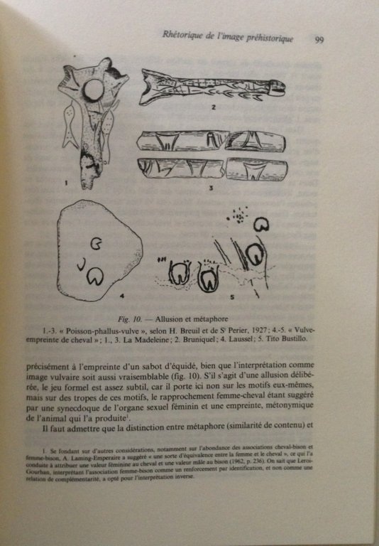 Fine Perron Sacco Psychanalyse et PrÈhistoire Presses Universitaires de France