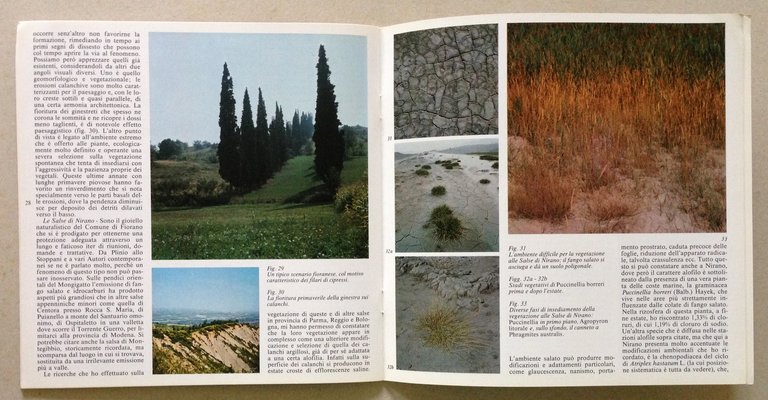 Fiorano Territorio Vegetazione Immigrazione Societ‡ Sviluppo 4 Fascicoli Carta