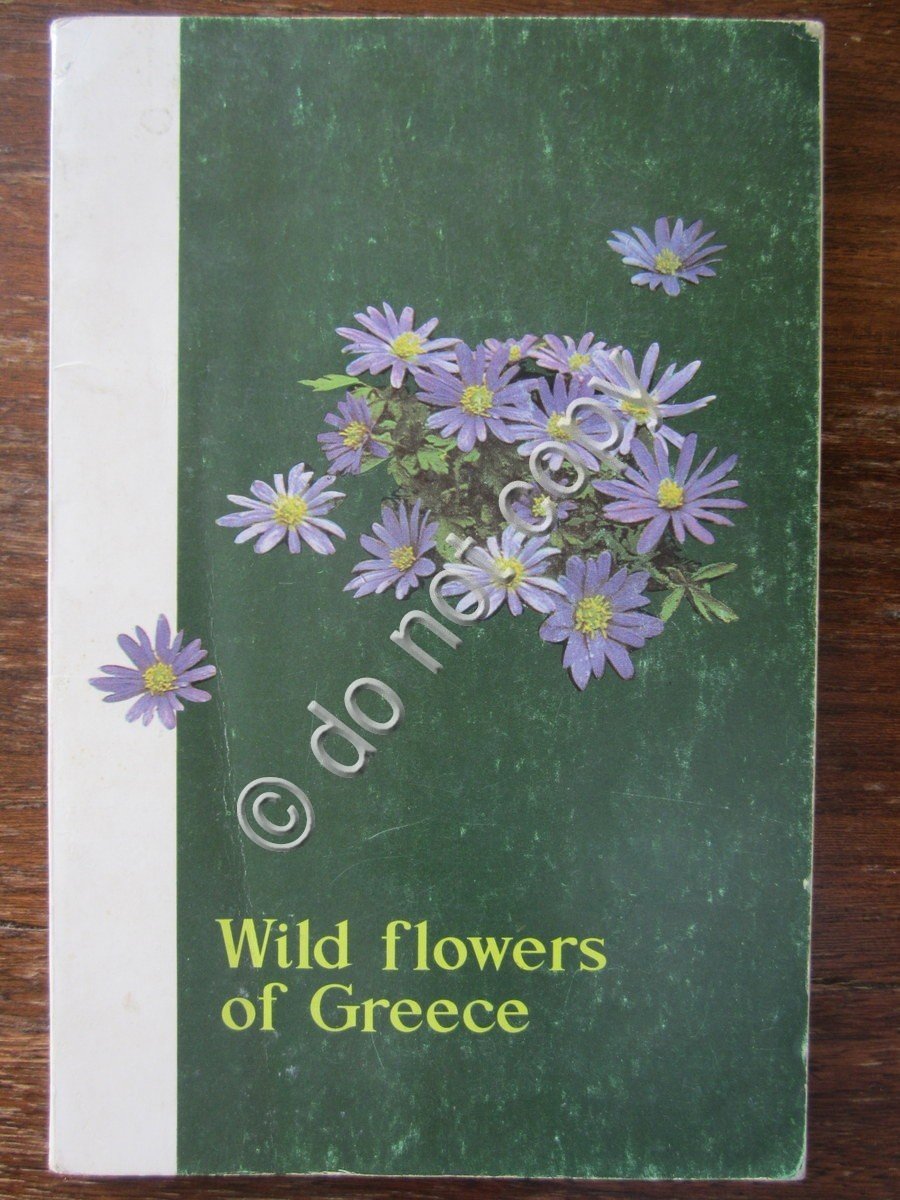 Fiori Spontanei di Grecia 1965 Botanica Turismo Naturalistico Escursionismo | Immagine principale