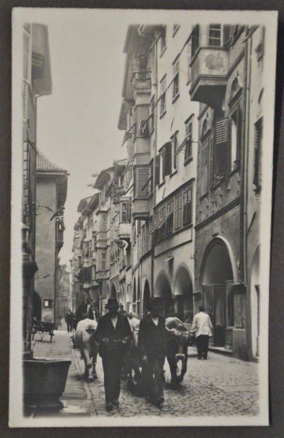 Foto Cartolina Alto Adige Tirolo Bolzano Bozen Carro Buoi Animata …