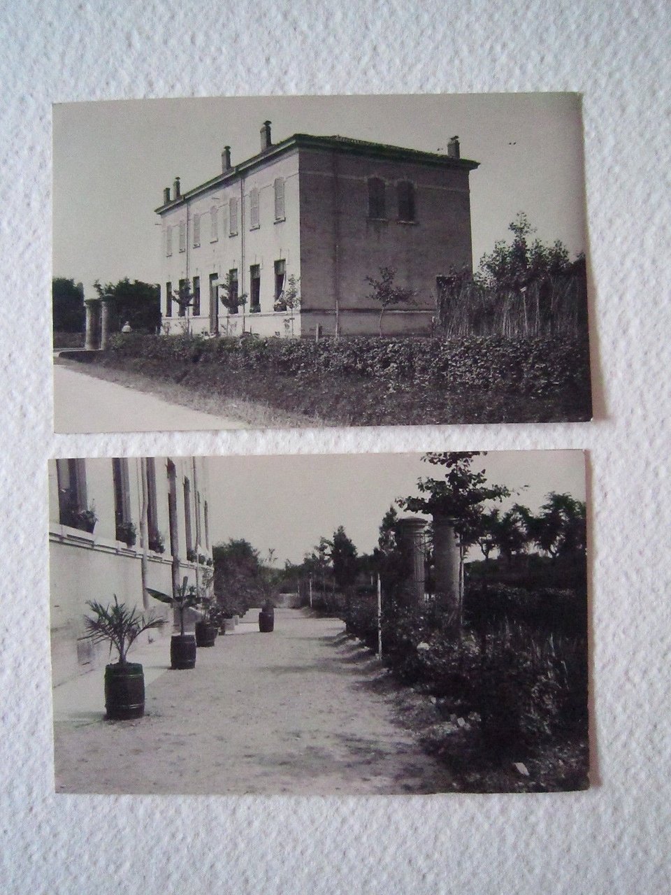 Foto Cartolina Locale anni '20 Emilia Romagna Modena benvenuto Bandieri …