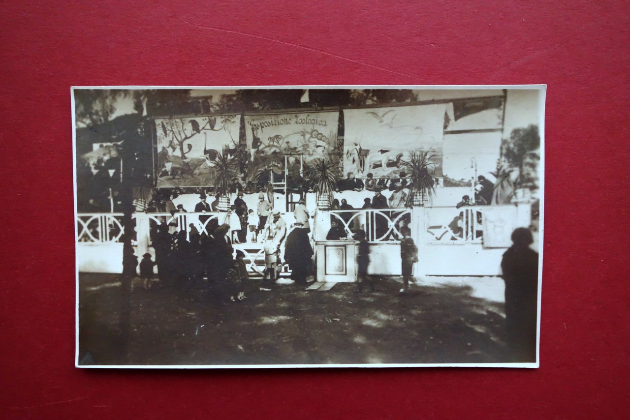 Fotocartolina Originale Esposizione Zoologica Spettacoli Ambulanti Anni '20