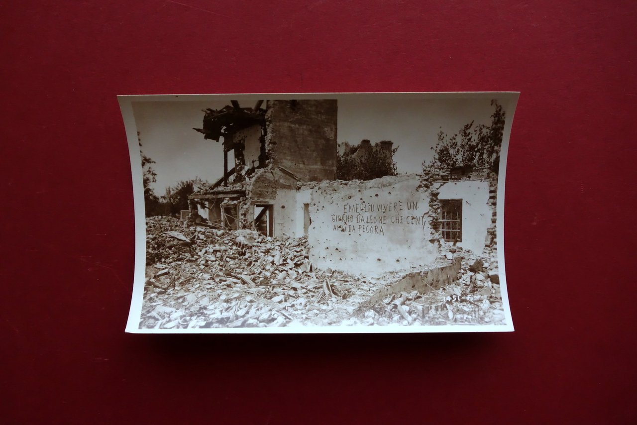 Fotocartolina Originale WW1 Rudere Meglio Vivere un Giorno da Leone …