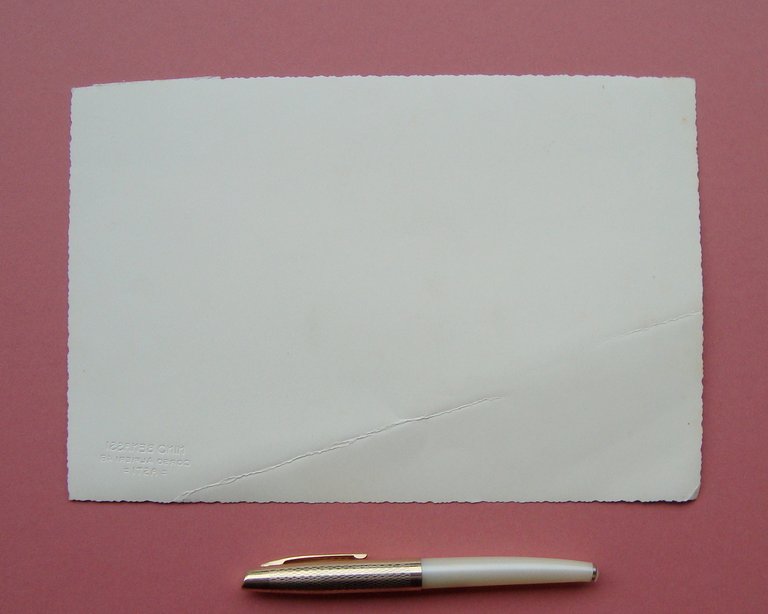 Fotografia Asti Sfilata Inaugurazione labari Balilla Avanguardista foto Benassi