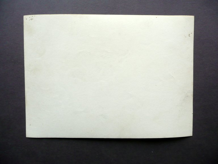 Fotografia Originale Aeromodellismo Aeroplani Animata Anni '30 '40 Novecento