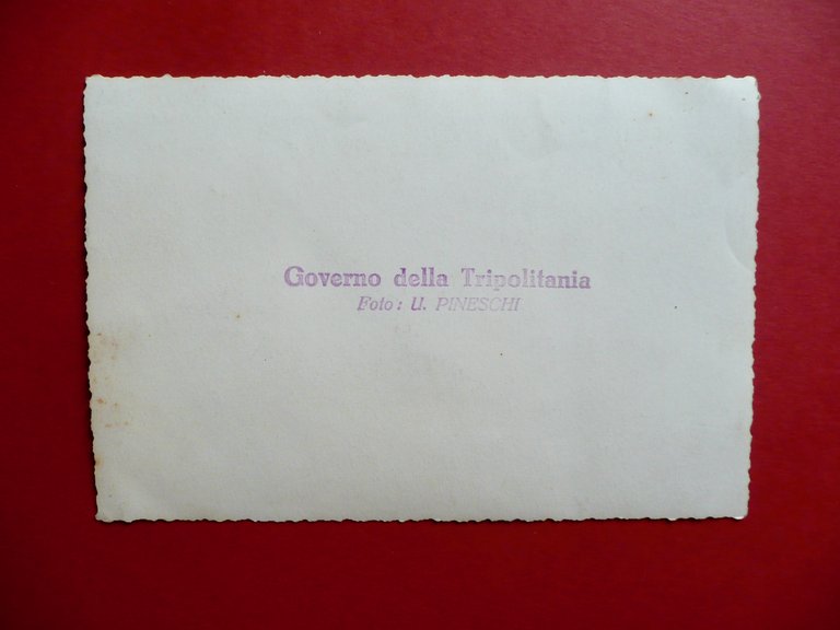 Fotografia Originale Automobile Governo della Tripolitania Foto Pineschi Colonie