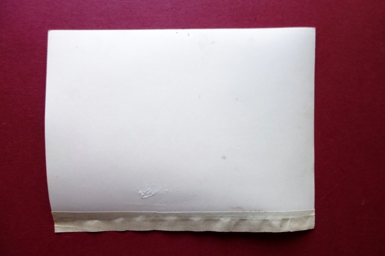 Fotografia Originale Ciclismo Menegazzi Sassuolo Modena Gruppo D. Sinigaglia