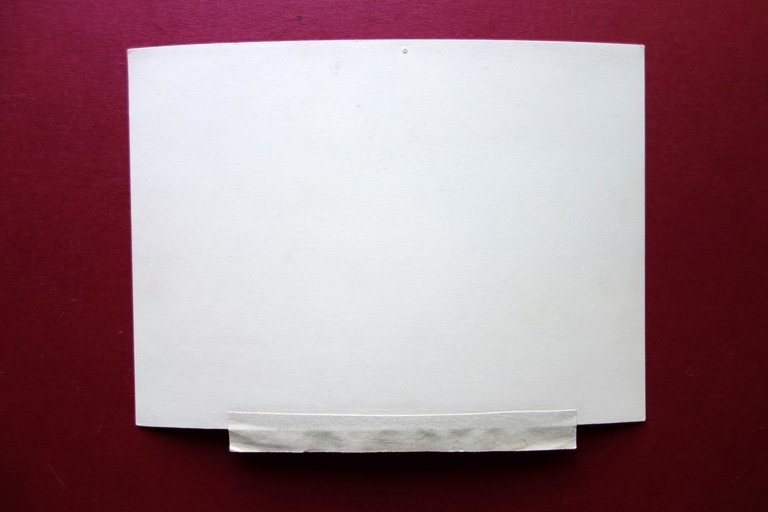 Fotografia Originale Ciclismo Squadrone Modenese Modena Gruppo Duilio Sinigaglia