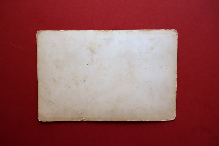 Fotografia Originale Coblenz Coblenza Konigl. Schloss Rheinlande Verdang 1880ca.