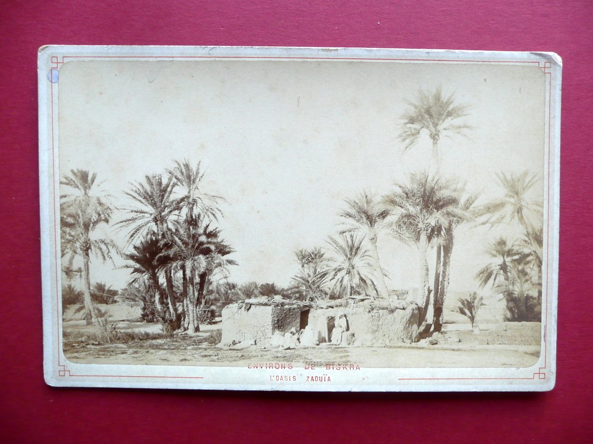 Fotografia Originale Dintorni di Biskra Oasi di Zaouia Algeria 1880 …