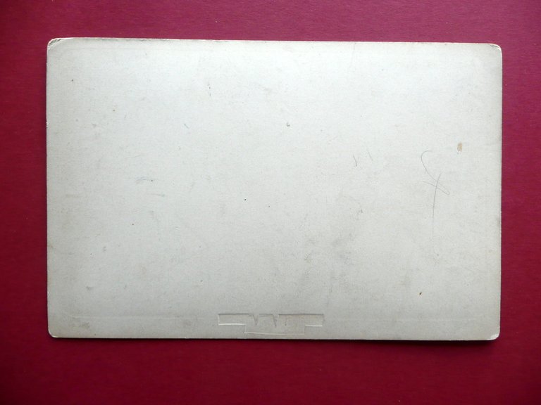 Fotografia Originale Dintorni di Biskra Oasi di Zaouia Algeria 1880 …