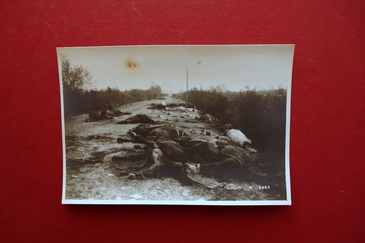 Fotografia Originale La Ritirata Austriaca WW1 1∞ Guerra Mondiale 1918