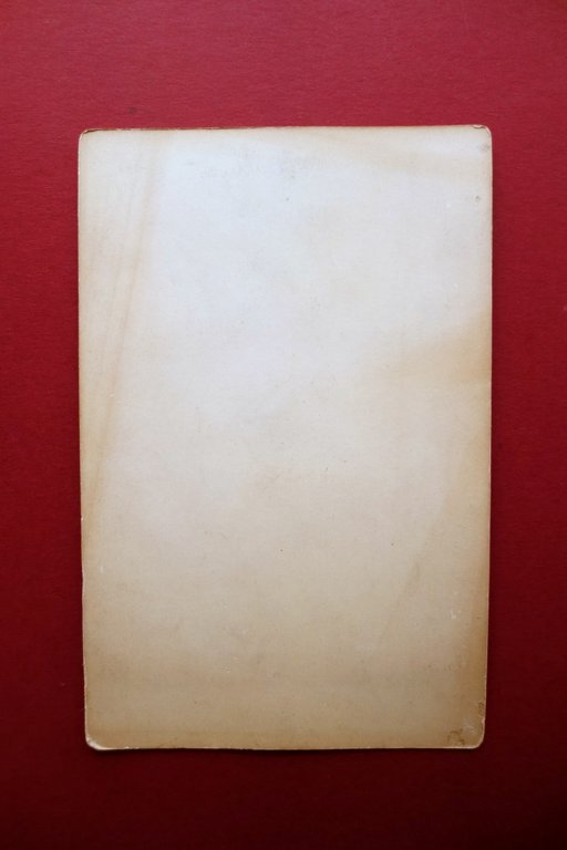 Fotografia Originale Musiciste con Mandolino Foto Howie Detroit Primo Novecento