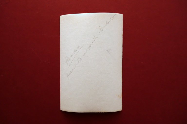 Fotografia Originale Stranzano Macerie del Campanile Bombardato WW1 1915-18